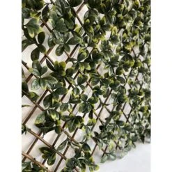 Siepe Artificiale Pitosforo, Grigliato Estensibile UVR 100x200 Cm, 120 Led Ad Energia Solare -Negozio Piante artificiali economico 100275011 3