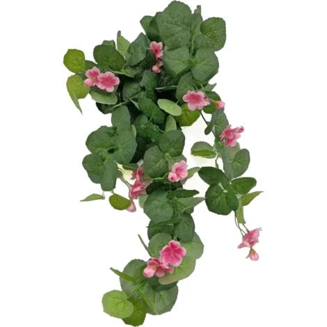 Geraneo Rosso, Foglie 71, Fiori 27, 70 Cm 3 Geraneo Rosso, Foglie 71, Fiori 27, 70 Cm