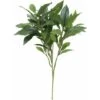 Alloro, Ramo Con 74 Foglie Verdi -Negozio Piante artificiali economico 100275101 1
