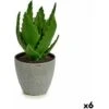 Pianta Decorativa Aloe Vera 14 X 21 X 14 Cm Grigio Verde Plastica (6 Unità) -Negozio Piante artificiali economico 100315585 1