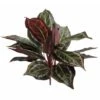 Calathea Cespuglio Artificiale Variegato, Cm 38 -Negozio Piante artificiali economico 100353202 1