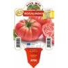Pomodoro Gigante Sorrentone Rosalinda F1 - 1 Pianta V.10 Cm - Orto Mio -Negozio Piante artificiali economico 12354619 1