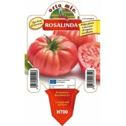 Pomodoro Gigante Sorrentone Rosalinda F1 - 1 Pianta V.10 Cm - Orto Mio