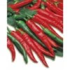 3 PIANTE IN VASO Ø10CM DI PEPERONE ROMITAL PICCANTE LUNGO ORTOMIO ORTO 1 3 PIANTE IN VASO Ø10CM DI PEPERONE ROMITAL PICCANTE LUNGO ORTOMIO ORTO -Negozio Piante artificiali economico 12734236 1