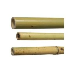 25 Pz Canne Canna Di Bamboo Pali Paletti Tutore H210 Cm Spessore � 22/24 Mm