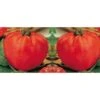 Pomodoro Cuore Di Bue -Negozio Piante artificiali economico 1791738 1