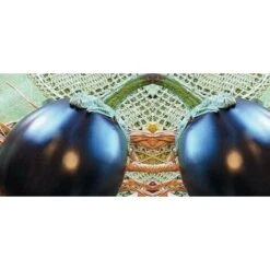 Melanzana Tonda Innestata (vaso 14)