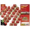 Pomodoro Ciliegino Paki F1-Edox F1 - 1 Pianta V.10 Cm - Orto Mio -Negozio Piante artificiali economico 18430100 1