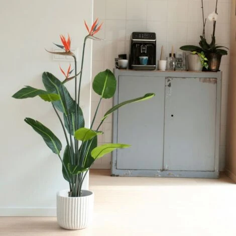 Strelitzia Pianta Artificiale In Vaso Con Fiori 120 Cm Emerald 4 Strelitzia Pianta Artificiale In Vaso Con Fiori 120 Cm Emerald - immagine 2