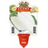 Melanzana Bianca Clara F1 - 1 Pianta Vaso Da 10 Cm - Orto Mio -Negozio Piante artificiali economico 19601694 1