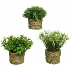 Pianta Verde Artificiale In Vaso 16 Cm -Negozio Piante artificiali economico 21490879 3