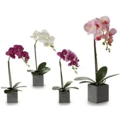 Vaso Grigio (13 X 43 X 21 Cm)