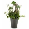 Pianta Decorativa Plastica (20 X 41 X 20 Cm) 1 Pianta Decorativa Plastica (20 X 41 X 20 Cm) -Negozio Piante artificiali economico 28284832 1