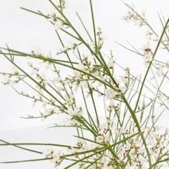 BOX MACCHIA MEDITERRANEA -Negozio Piante artificiali economico 29591489 4