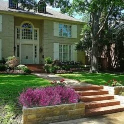 4pcs Gypsophila Artificiale 7 Rami Fiori Artificiali Arbusto Artificiale Cespuglio Fiori Finti Decorazione Viola Per Matrimonio Casa Giardino -Negozio Piante artificiali economico 29766122 4