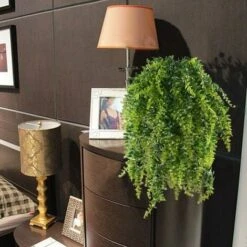 Fern Piante Artificiali Piante Pensili Piante Verdi Artificiali Piante Di Plastica Per Balcone Esterno Matrimonio In Vaso Decorazione Da Giardino 2 Pezzi 11 Fern Piante Artificiali Piante Pensili Piante Verdi Artificiali Piante Di Plastica Per Balcone Esterno Matrimonio In Vaso Decorazione Da Giardino 2 Pezzi -Negozio Piante artificiali economico 31025679 5