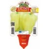 Peperone Digeribile Citrino Salana Laguna F1 - 1 Pianta V.10 Cm - Orto Mio -Negozio Piante artificiali economico 33245779 1