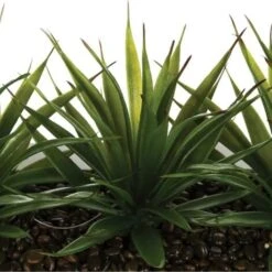 ATMOSPHERA Centrotavola - 3 Aloe Vera - H 17 Cm -Negozio Piante artificiali economico 35488622 4