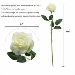 SOEKAVIA Seta Artificiale Fiori Di Rosa Singolo Stelo Realistico Rosa Finta Per Bouquet Da Sposa Decorazioni Floreali, 10 Pezzi (bianco) 8 SOEKAVIA Seta Artificiale Fiori Di Rosa Singolo Stelo Realistico Rosa Finta Per Bouquet Da Sposa Decorazioni Floreali, 10 Pezzi (bianco) -Negozio Piante artificiali economico 35821255 2