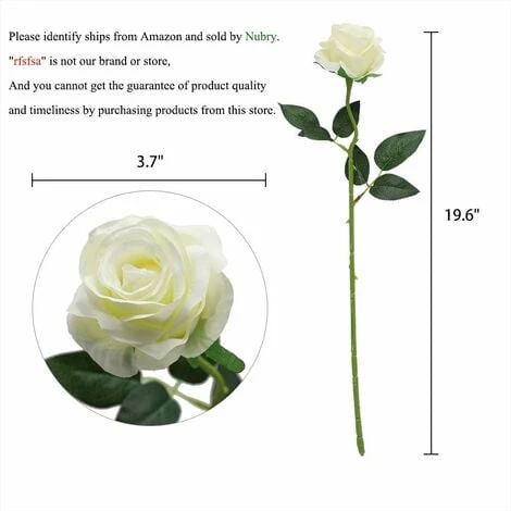 SOEKAVIA Seta Artificiale Fiori Di Rosa Singolo Stelo Realistico Rosa Finta Per Bouquet Da Sposa Decorazioni Floreali, 10 Pezzi (bianco) 4 SOEKAVIA Seta Artificiale Fiori Di Rosa Singolo Stelo Realistico Rosa Finta Per Bouquet Da Sposa Decorazioni Floreali, 10 Pezzi (bianco) - immagine 2
