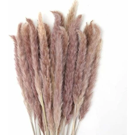 SOEKAVIA 30 Pezzi Erba Di Pampa, Bouquet Di Fiori Secchi Di Pampa Naturale Da 45 Cm Per Vasi, Decorazione Boho Camera Da Letto Soggiorno Casa, Decorazione Da Tavola Fotografia Di Matrimonio 3 SOEKAVIA 30 Pezzi Erba Di Pampa, Bouquet Di Fiori Secchi Di Pampa Naturale Da 45 Cm Per Vasi, Decorazione Boho Camera Da Letto Soggiorno Casa, Decorazione Da Tavola Fotografia Di Matrimonio