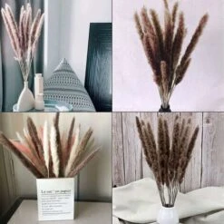 SOEKAVIA 30 Pezzi Erba Di Pampa, Bouquet Di Fiori Secchi Di Pampa Naturale Da 45 Cm Per Vasi, Decorazione Boho Camera Da Letto Soggiorno Casa, Decorazione Da Tavola Fotografia Di Matrimonio 8 SOEKAVIA 30 Pezzi Erba Di Pampa, Bouquet Di Fiori Secchi Di Pampa Naturale Da 45 Cm Per Vasi, Decorazione Boho Camera Da Letto Soggiorno Casa, Decorazione Da Tavola Fotografia Di Matrimonio -Negozio Piante artificiali economico 35821396 2