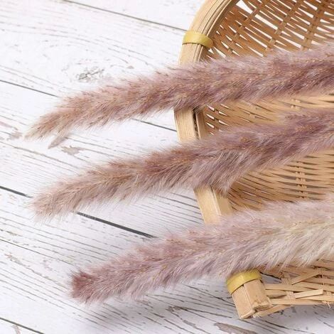 SOEKAVIA 30 Pezzi Erba Di Pampa, Bouquet Di Fiori Secchi Di Pampa Naturale Da 45 Cm Per Vasi, Decorazione Boho Camera Da Letto Soggiorno Casa, Decorazione Da Tavola Fotografia Di Matrimonio 6 SOEKAVIA 30 Pezzi Erba Di Pampa, Bouquet Di Fiori Secchi Di Pampa Naturale Da 45 Cm Per Vasi, Decorazione Boho Camera Da Letto Soggiorno Casa, Decorazione Da Tavola Fotografia Di Matrimonio - immagine 4