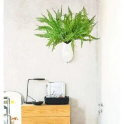 SOEKAVIA 3 Pezzi Arbusti Di Piante Di Felce Di Boston Artificiale Cespugli Verdi Per Interni Esterni Giardino Di Casa Ufficio Portico Decorazioni Per Matrimoni -Negozio Piante artificiali economico 35821457 4
