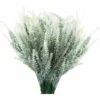 SOEKAVIA Fiori Di Lavanda Artificiali Piante Finte Con Bouquet Da Sposa In Plastica Finta Per Centrotavola Casa Cucina Giardino Arredamento Casa Colonica 10 Pezzi Bianco -Negozio Piante artificiali economico 36223956 1