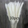 SOEKAVIA 30 Pezzi Di Piccola Erba Di Pampa Essiccata Naturale, Phragmites Communis, Bouquet Da Sposa E Fotografico Per L'arredamento Della Casa (bianco, 30 Pezzi) -Negozio Piante artificiali economico 36248090 1
