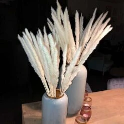 SOEKAVIA 30 Pezzi Di Piccola Erba Di Pampa Essiccata Naturale, Phragmites Communis, Bouquet Da Sposa E Fotografico Per L'arredamento Della Casa (bianco, 30 Pezzi) -Negozio Piante artificiali economico 36248090 4