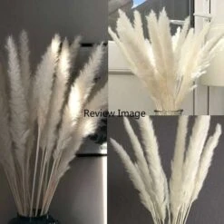 SOEKAVIA 30 Pezzi Di Piccola Erba Di Pampa Essiccata Naturale, Phragmites Communis, Bouquet Da Sposa E Fotografico Per L'arredamento Della Casa (bianco, 30 Pezzi) -Negozio Piante artificiali economico 36248090 5