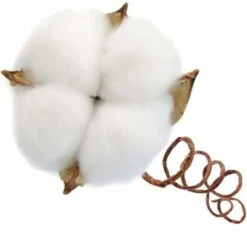 SOEKAVIA Ramo Di Cotone Tronco Naturale Fattoria Fiori Secchi Rami Di Cotone Pianta Di Cotone Fiori Secchi Artificiali (20 Pezzi) -Negozio Piante artificiali economico 36248116 3