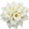 SOEKAVIA 20 Pezzi Sposa Calla Lilies Bouquet Di Fiori Artificiali Latex Blossom Real Touch Home Party Wedding Decoration (bianco-giallo) 1 SOEKAVIA 20 Pezzi Sposa Calla Lilies Bouquet Di Fiori Artificiali Latex Blossom Real Touch Home Party Wedding Decoration (bianco-giallo) -Negozio Piante artificiali economico 36736188 1