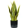 King Home Pianta SANSEVIERIA H. 45 Cm 12 FOGLIE Completa Di Vaso Con Muschio -Negozio Piante artificiali economico 40982766 1