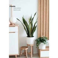 King Home Pianta SANSEVIERIA H. 45 Cm 12 FOGLIE Completa Di Vaso Con Muschio -Negozio Piante artificiali economico 40982766 3