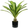 King Home Pianta DRACAENA H. 60 Cm 19 FOGLIE Completa Di Vaso Con Muschio -Negozio Piante artificiali economico 40982777 1