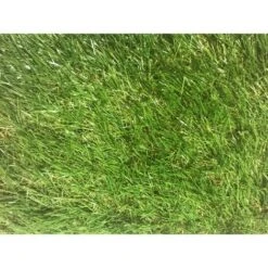 Evergreen Prato Sintetico Tappeto Erba Finto Artificiale 25 Mm 2X5 Mt -Negozio Piante artificiali economico 44089679 4