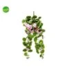 GERANIO CADENTE ARPIMEX 72CM ROSA -Negozio Piante artificiali economico 51052564 1