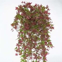 Artificial Ivy Hanging Set Of 2 For Home, Garden, Office, Home Decor Red -Negozio Piante artificiali economico 52010384 5