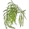 Pianta Artificiale Verde Salice Chic Decorazione Per Interno Da H 138 Cm -Negozio Piante artificiali economico 52539762 1