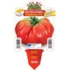 3 PIANTE IN VASO Ø10CM DI POMODORO GIGANTE OR PATATARO ORTO ORTOMIO