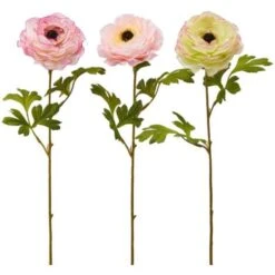 Fiore Artificiale Ranuncolo Rex H 60 Cm Effetto Realistico Con Stelo Verdi -Ranuncolo Rex 7 Fiore Artificiale Ranuncolo Rex H 60 Cm Effetto Realistico Con Stelo Verdi -Ranuncolo Rex -Negozio Piante artificiali economico 56342308 3