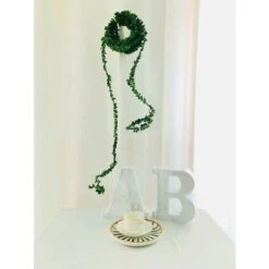 15m Artificiale Foglia Di Edera Minuscole Piante A Foglia Falso Vite Blu Appeso Ghirlanda Verde Fogliame Per La Casa Cucina Giardino Ufficio Decorazione Della Parete Di Nozze -Negozio Piante artificiali economico 63849238 5