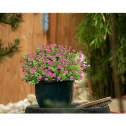 10 Mazzi Di Fiori Artificiali Piante Finte. Arbusti Verdi Resistenti Ai Raggi UV Piante Di Eucalipto Fioriera Sospesa Per Interni Ed Esterni Decorazioni Per Il Giardino Di Casa. Rosso -Negozio Piante artificiali economico 67412290 3