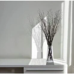 Muschio Artificiale Ramo Di Corallo Bastone Pieghevole Pianta Realistica Decorazioni Per La Casa Fiore Da Sposa Ramo Da Parete Vaso Da Pavimento Stucco (nero) 8 Muschio Artificiale Ramo Di Corallo Bastone Pieghevole Pianta Realistica Decorazioni Per La Casa Fiore Da Sposa Ramo Da Parete Vaso Da Pavimento Stucco (nero) -Negozio Piante artificiali economico 69209730 3