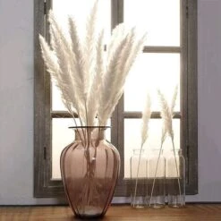 MINKUROW 30 Pz Erba Di Pampa, Erba Di Pampa Naturale Erba Di Pampa Essiccata Erba Phragmites Mazzo Di Fiori Secchi Decorazione Della Casa -Negozio Piante artificiali economico 69789059 4