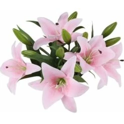 ZOLGINAH Bouquet Di Fiori Artificiali Set Di 5 Fiori Artificiali Finti Giglio Plastica Per La Casa Deco Matrimonio Paese Cimitero Pianta Artificiale Per Esterni Interni (rosa) -Negozio Piante artificiali economico 71127522 4