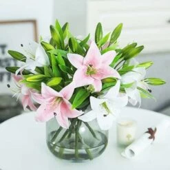 ZOLGINAH Bouquet Di Fiori Artificiali Set Di 5 Fiori Artificiali Finti Giglio Plastica Per La Casa Deco Matrimonio Paese Cimitero Pianta Artificiale Per Esterni Interni (rosa) -Negozio Piante artificiali economico 71127522 5