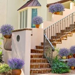 9 Steli Finta Lavanda Viola Pianta Finta Fiori Viola Per La Reception Domestica, L'ufficio, L'arredamento Del Patio O L'arredamento Di Nozze Fai-da-te -Negozio Piante artificiali economico 71379687 5